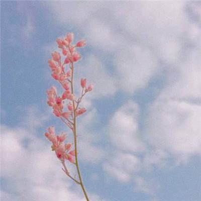 开云·全站app(kaiyun)